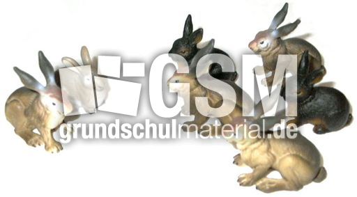 Hasen2+5.jpg